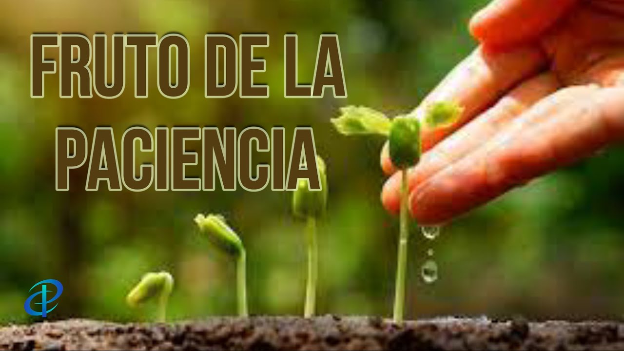 08- Fruto de la Paciencia - YouTube