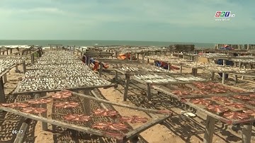 Đẩy nhanh tiến độ di dời các cơ sở chế biến hải sản vào cụm công nghiệp và khu công nghiệp | BRTgo