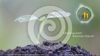 Healing with Mother Earth: Heilende Wirkung von Mutter Natur von Oliver Scheffner (RelaxLounge.TV)