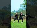#shorts #dance #trendingshorts #shortvideo #viral #bhojpurisong #prm PRM dance