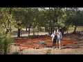 Starting a Tiny Wood Cabin Build on Our 3 Acre Farm