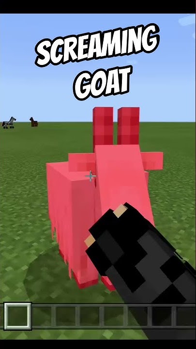 How To Get A Screaming Goat In Minecraft Screaming Goat in Minecraft Bedrock Edition! - YouTube