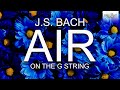 J S Bach Air On The G String 