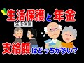 【2024年】生活保護と年金どっちが多い？単身／夫婦、自営／会社員比較【元金融マンの投資初心者アニメ】