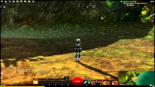 Guild Wars II - Dance Glitch