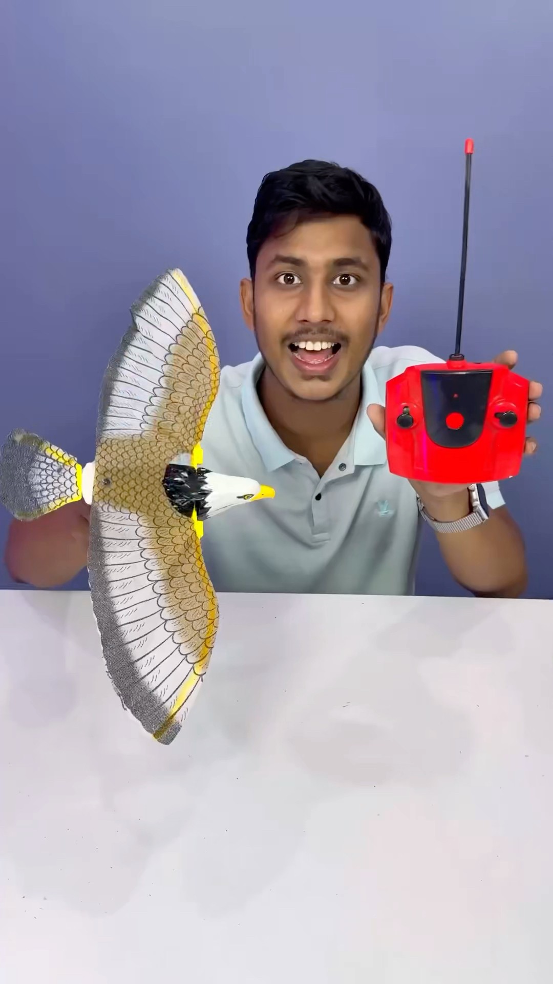 Eta Amar New Remote Control Bird