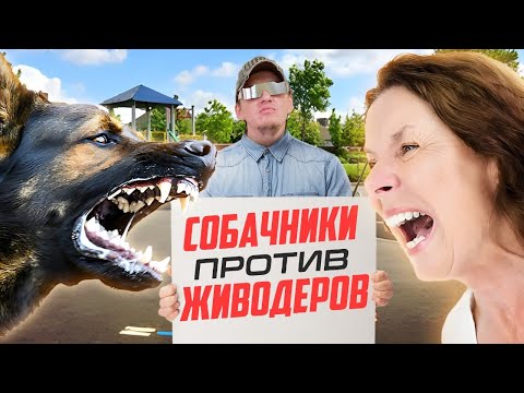 Тупые Собачники против живодёров! Безумные скандалы и конфликты из - за домашних животных.