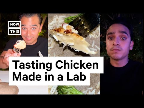 Taste Testing Lab-Grown