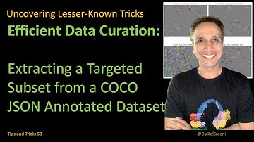 Extracting a Targeted Subset from a COCO JSON annotated dataset