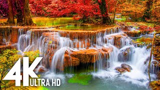 Waterfall Serenity with Sleeping Music: Soothe Your Soul and Drift into Dreams- Nature Relaxation 4K