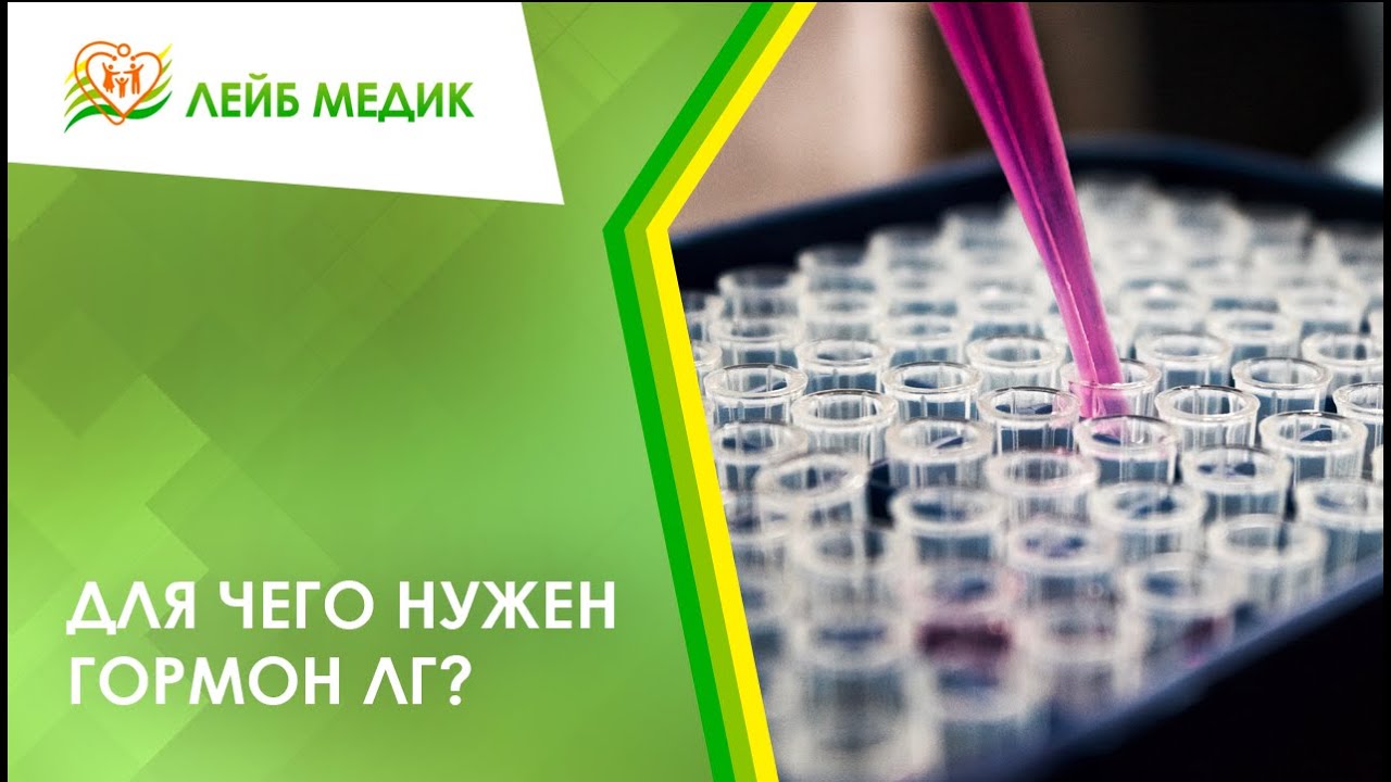повышение ФСГ у мужчин