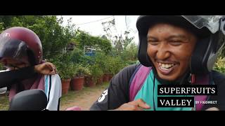 Anak Peghelih - Twinnies (Superfruits Valley)