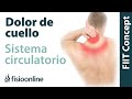 Sistema cardio-circulatorio y dolor de cuello,  espalda- ¿Qué relación tienen?