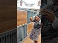 Asian epoxy Paint black#asianpaints #epoxypaint#house #shortvideo