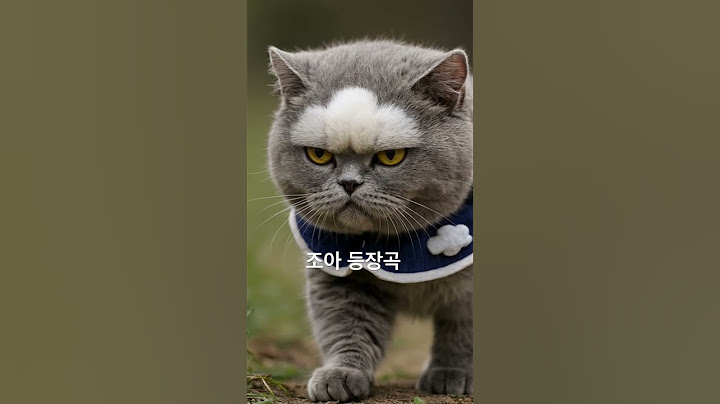 지드래곤 조아 실사판(?) #조아#지드래곤#지디조아#조앤프렌즈