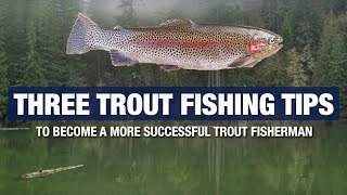 3 Advanced Trout Fishing Tips and Tricks  Become A Better Trout Fisherman