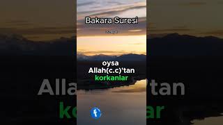 Bakara suresi meali 212.Ayet Surenin tamamı kanalımda #kuran #quran #muslim #islam