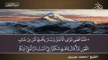 الشيخ محمد جبريل | سورة القصص | من صلاة التراويح من مسجد عمرو بن العاص عام ٢٠١٢م - ١٤٣٣هـ