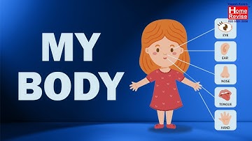 My Body | Class1 | EVS | English Medium
