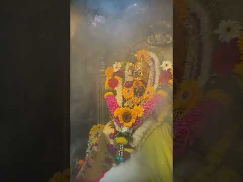 आई राजा उदो उदो 🙇🌸🌸🙏