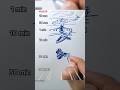 How To Draw Helicopter In 10 HOURS Shorts Funny How To Draw Helicopter In 10 HOURS Shorts Funny