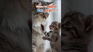 Ternyata itu Jebulnya? |#catlovers #kucing #cinta #yourself #wupro |