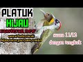 Masteran Burung Murai Batu Cucak Hijau Kacer Cendet Poci Mp3 - Mp4 Download