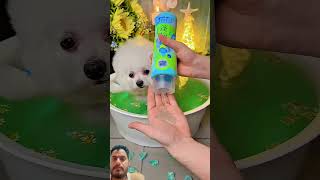 Aaj bani jalpari #pets #puppy