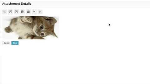 WordPress - Image editor - Oh Alright!