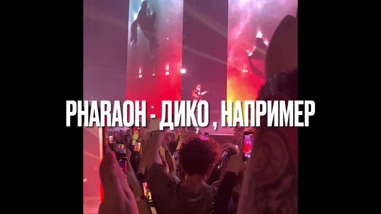 Pharaoh 2016. Фараон концерт. Фараон самара концерт. Фараон 2016 концерт. Фараон самара концерт.