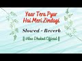 Yaar Tera Pyar Hai Meri Zindagi Hum Bhi Insaan Hain Slowed And Reverb Lata Mangeshkar M Aziz 