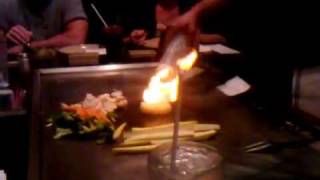 Dinner at Kumo Japanese Restaurant