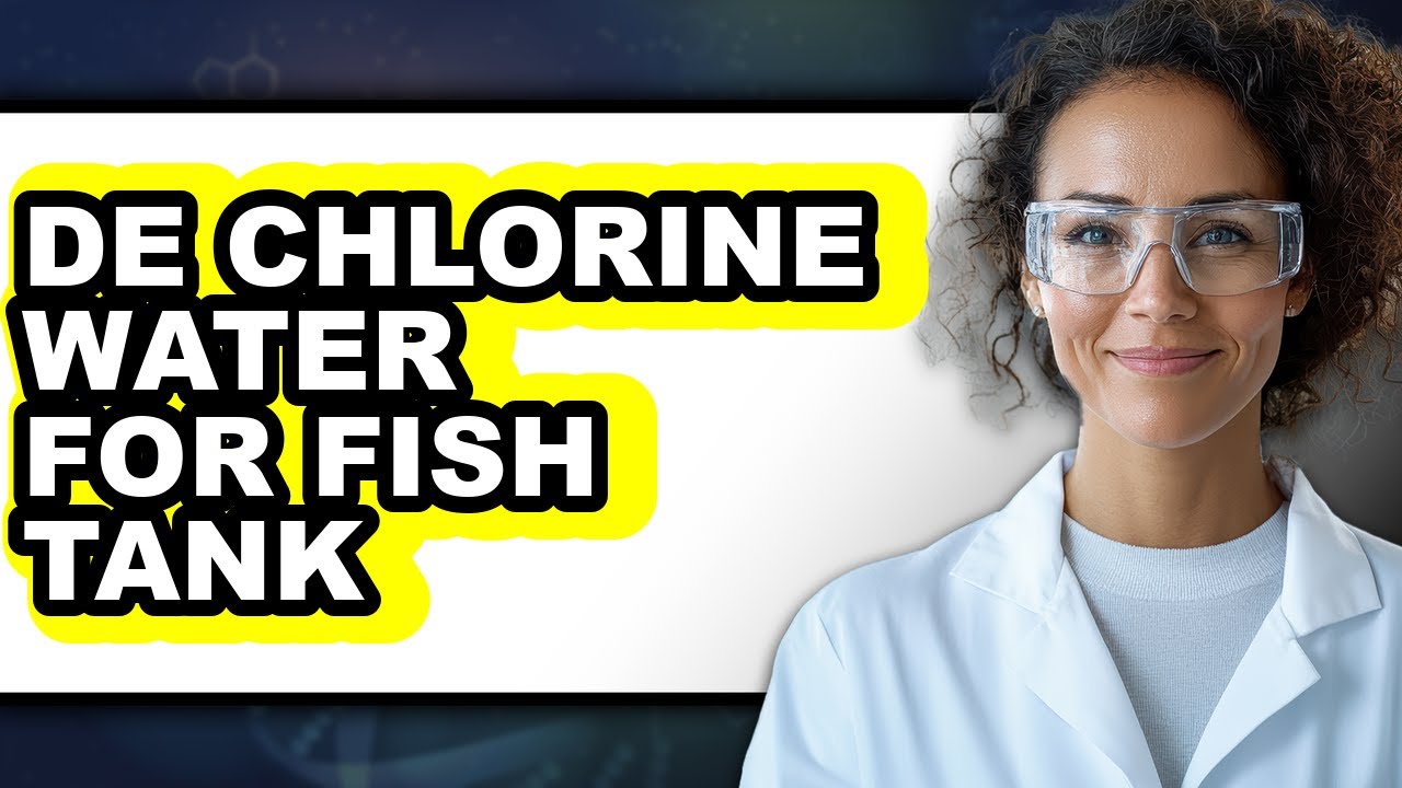 How To Dechlorinate Water For Fish Tank (The Only Way) - YouTube