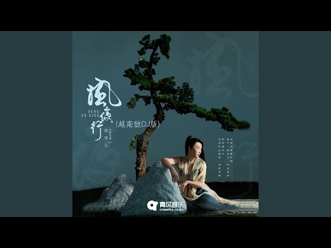 风夜行 越南鼓DJ 版
