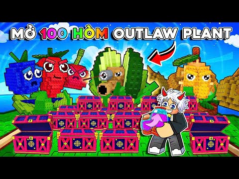 BI HUỲNH MỞ 100 HÒM OUTLAW SỞ HỮU CÂY KHỔNG LỒ DAME TO NHẤT PLANTS VS BRAINROT