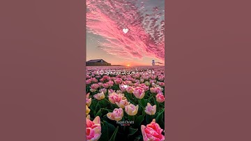 سورة الحجر من الاية 32 الى الاية 40  #قرآن #ارح_قلبك  #quran  #راحة_نفسية  #اسلاميات
