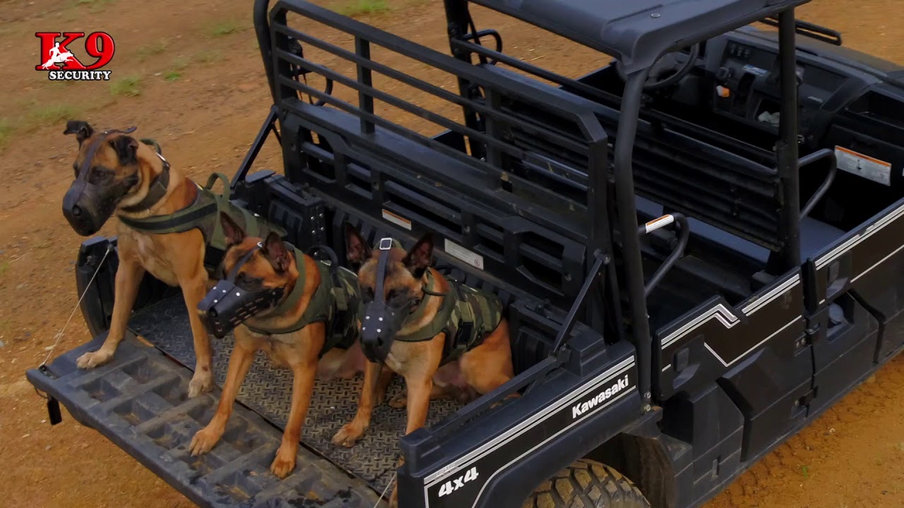 K9 Security Panamá - Seguridad, innovación y tecnología.