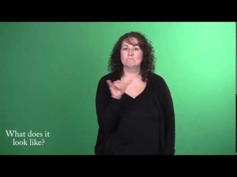 Sign Language - Level 1: Look Like Questions - YouTube