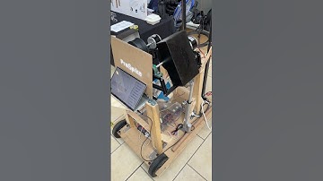 IGEN 330 Term Project - Prospike