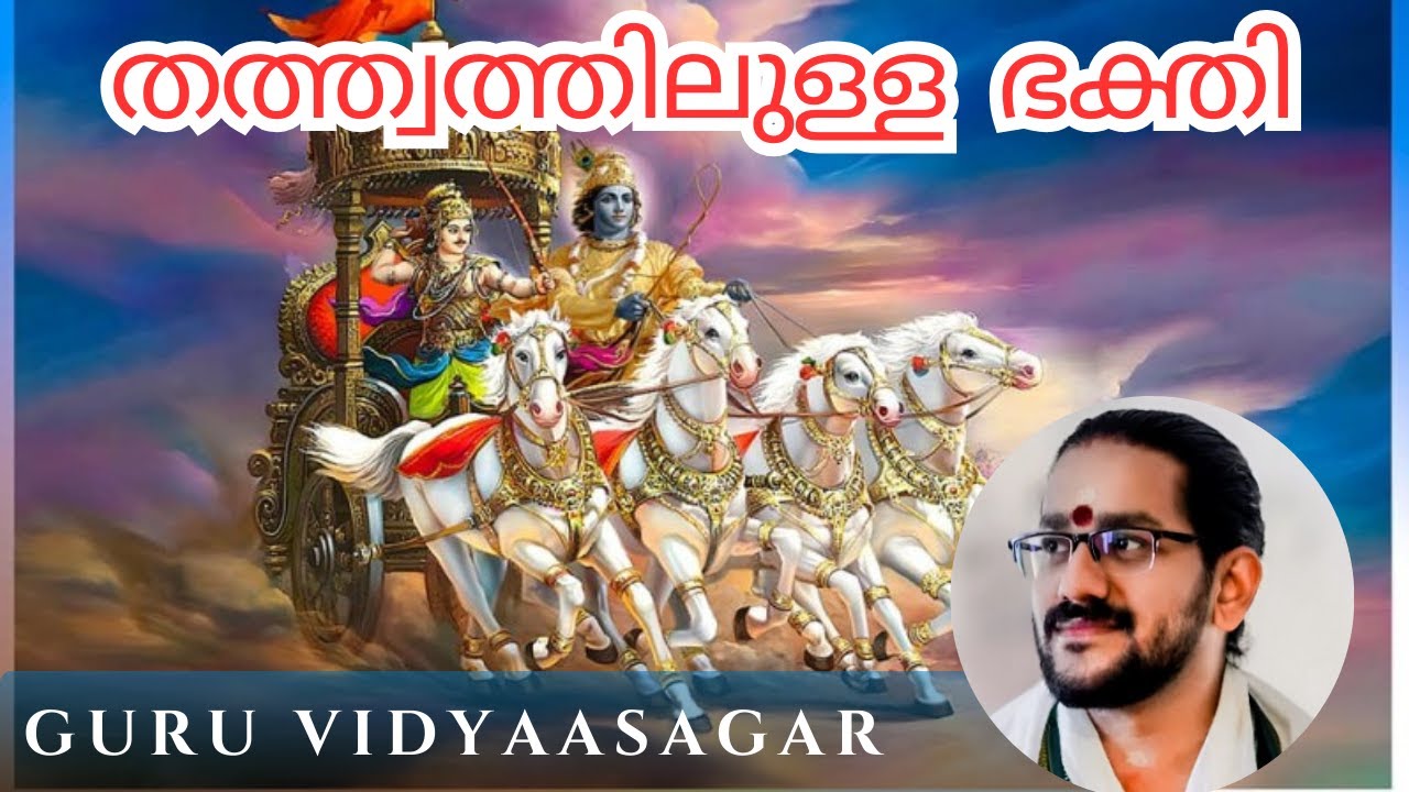 തത്ത്വത്തിലുള്ള ഭക്തി |ആറന്മുള ശ്രീ പാർത്ഥസാരഥിക്ഷേത്രം#vidyasagargurumoorthi  #guruvidyaasagar