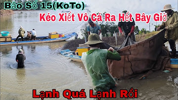 Bảo Số 15 (KoTo) Kéo Lưới Mùa Lũ Miền Tây Lạnh Rung Người   Lạnh Quá Lạnh Rồi 26/11/2025