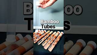 DIY Bamboo Testubes #keepingants