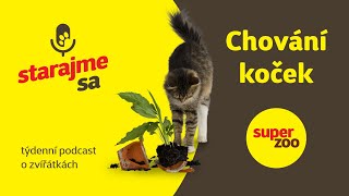 Chování koček | Podcast Super zoo