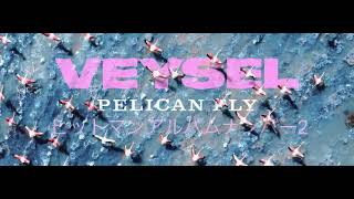 VEYSEL - PELICAN FLY - (Official Video)