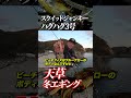 【冬エギング】光量変化がカラーチェンジのタイミング！色の足し算で夕マズメにアジャスト！