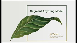 Segment Anything Model (SAM)