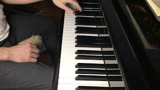 Evening polyphonic baroque impro