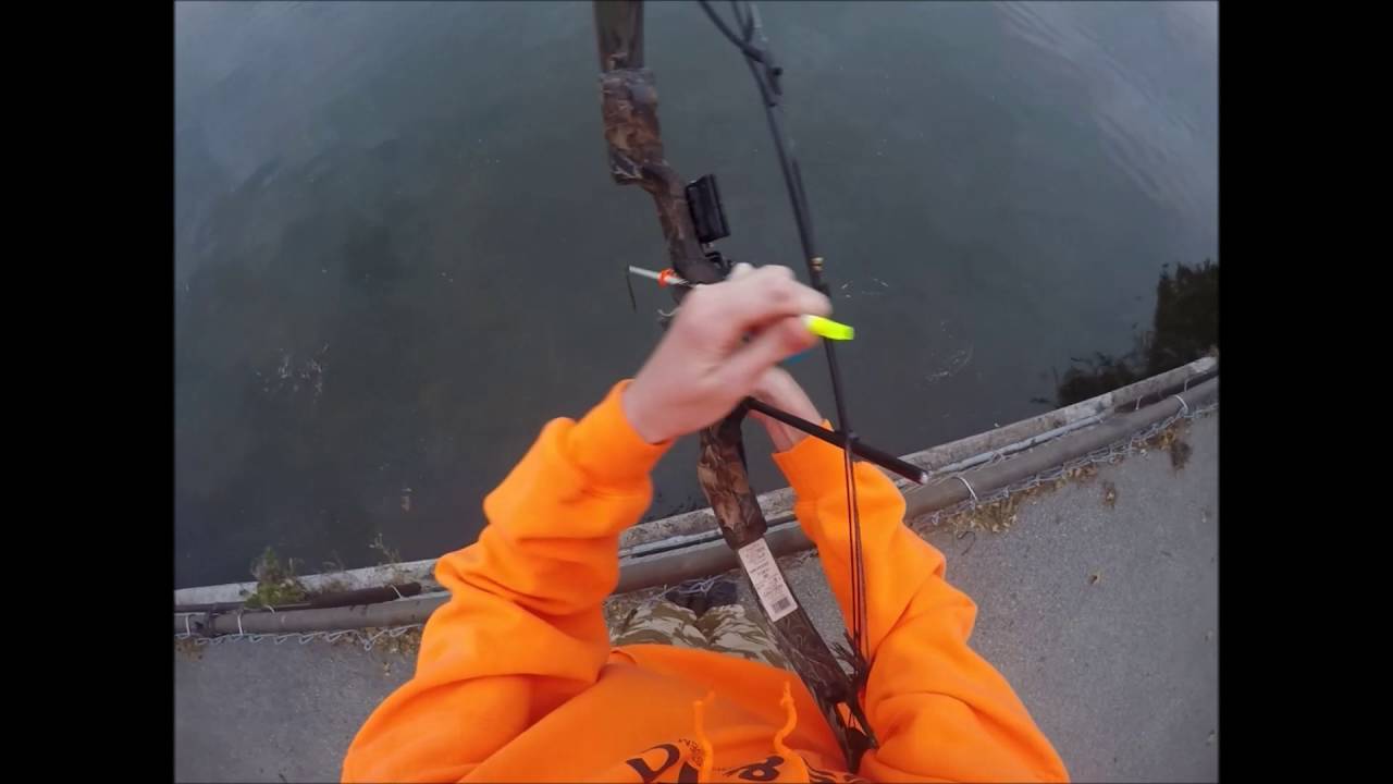 Bowfishing for Freshwater Drum