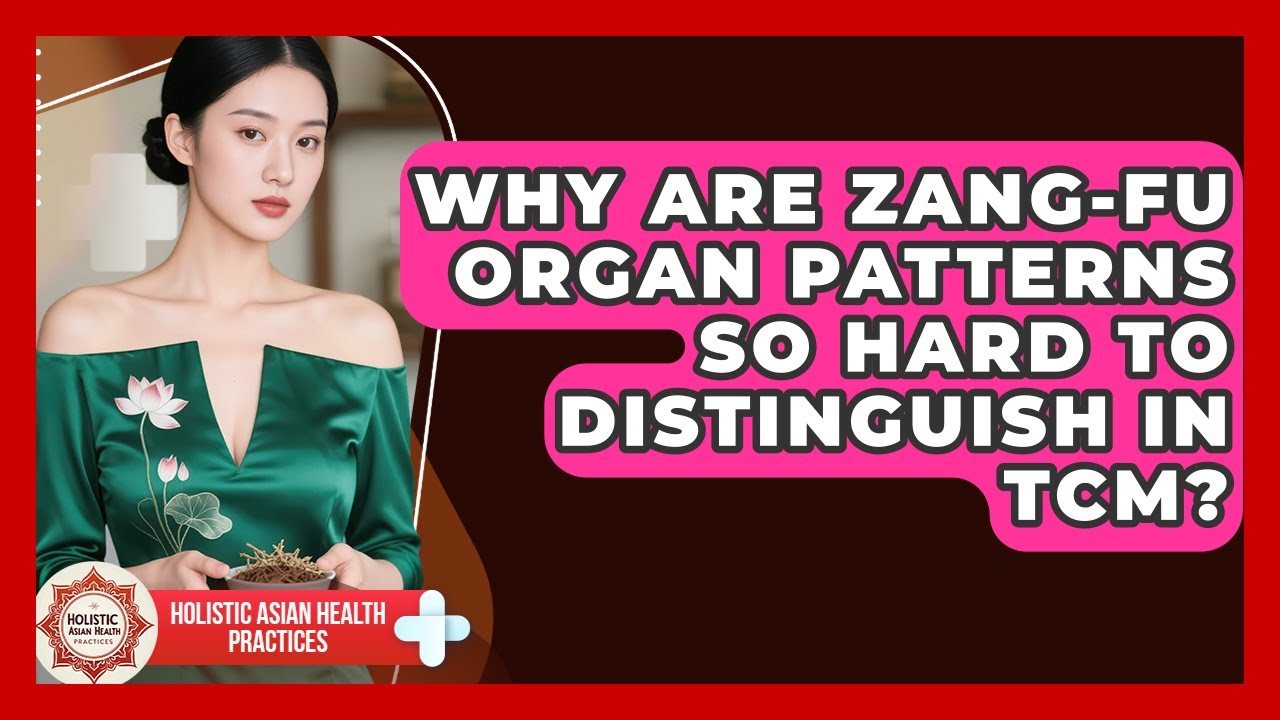 Why Are Zang-Fu Organ Patterns So Hard To Distinguish In TCM? - Holistic Asian Health Practices