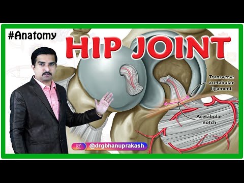 HIP Joint Anatomy Animation : Ligaments, Movements, Blood supply, Nerve supply and Hip Dislocation